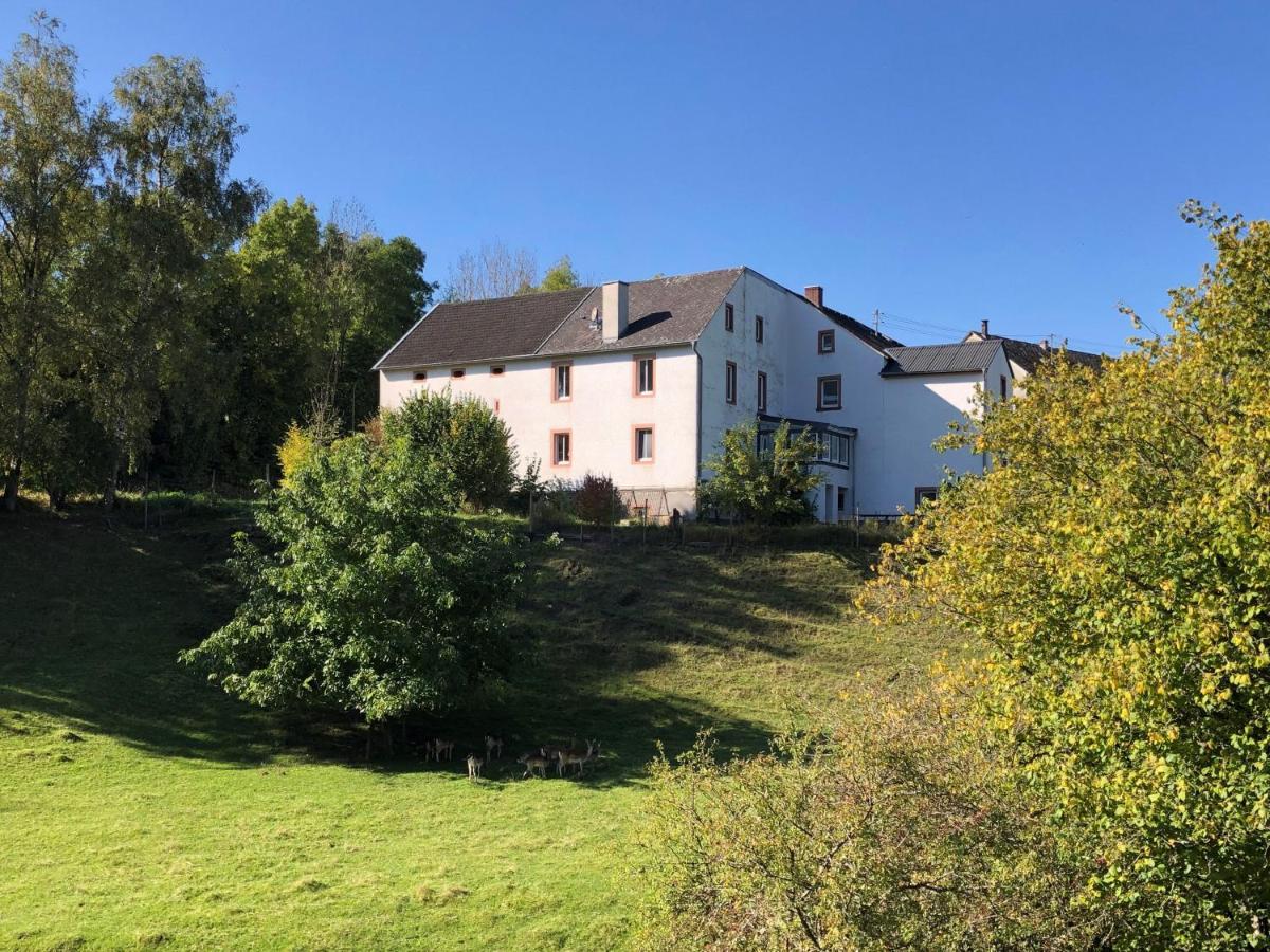 Ferienhaus Rehblick Rockeskyll Dış mekan fotoğraf