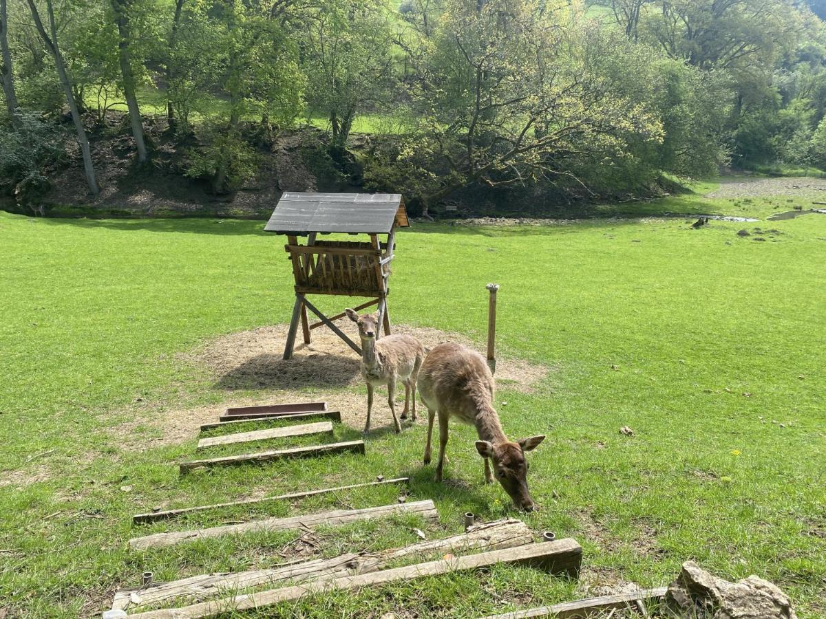 Ferienhaus Rehblick Rockeskyll Dış mekan fotoğraf