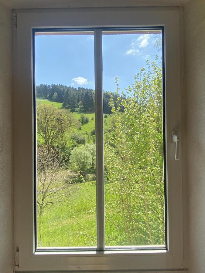 Ferienhaus Rehblick Rockeskyll Dış mekan fotoğraf